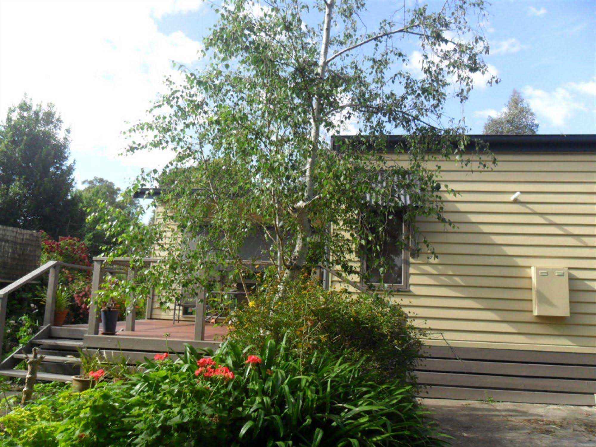Australian Home Away @ Wonga Park Brushy Creek ภายนอก รูปภาพ