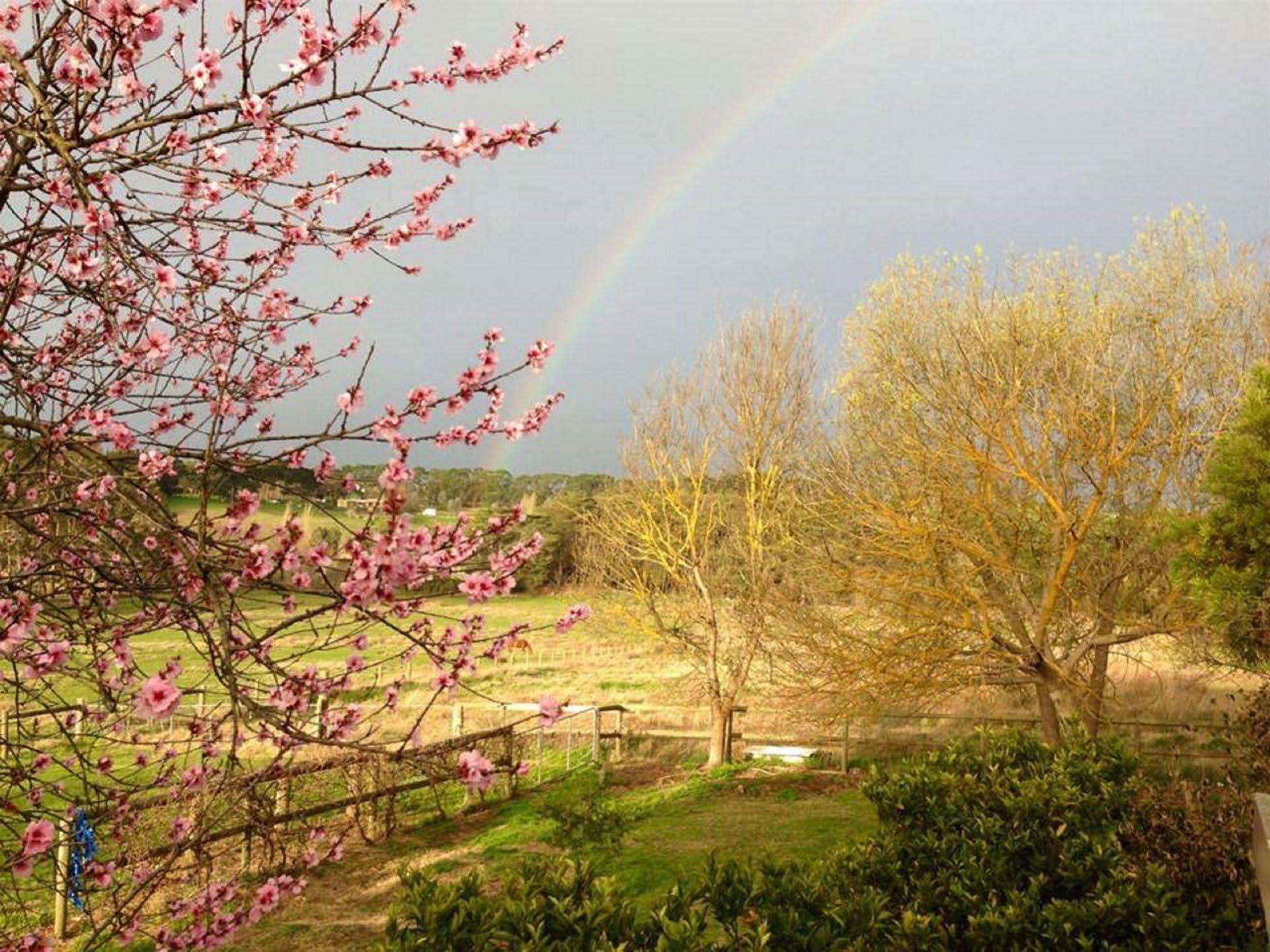 Australian Home Away @ Wonga Park Brushy Creek ภายนอก รูปภาพ